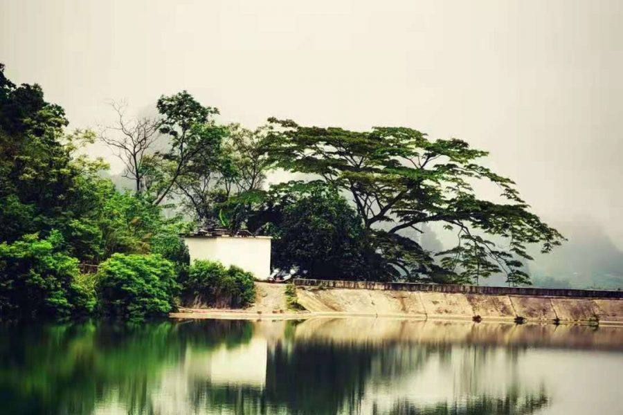 提前庆祝五一，我们在靖西五岭等你 - 靖西市·靖西网