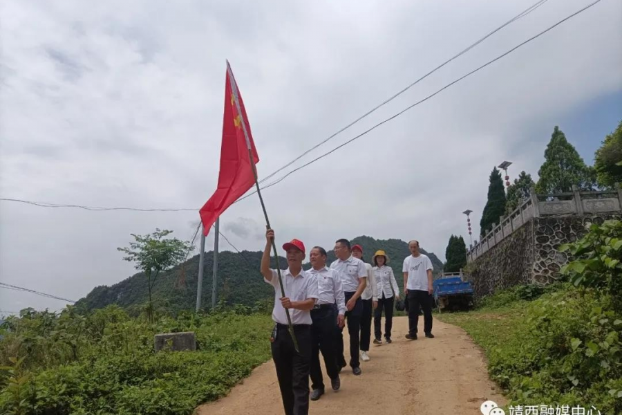 靖西市果业发展中心开展“学党史 悟思想 办实事”主题党日活动 - 靖西市·靖西网