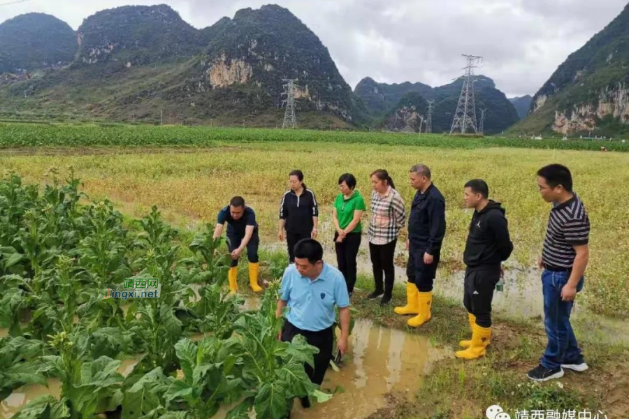 靖西市渠洋镇：上马即奔跑，坚守美丽渠洋 - 靖西市·靖西网