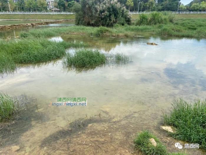 这个季节，黄昏时刻，我在龙潭等你！ - 靖西市·靖西网