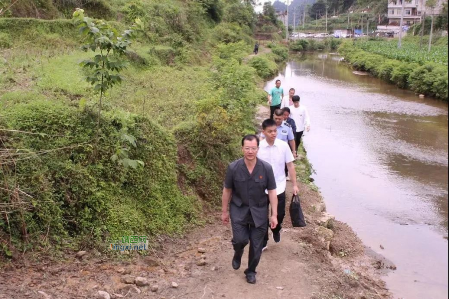 靖西安宁一村民焚烧杂草不慎引发火灾，烧毁他人大片八角树林... - 靖西市·靖西网