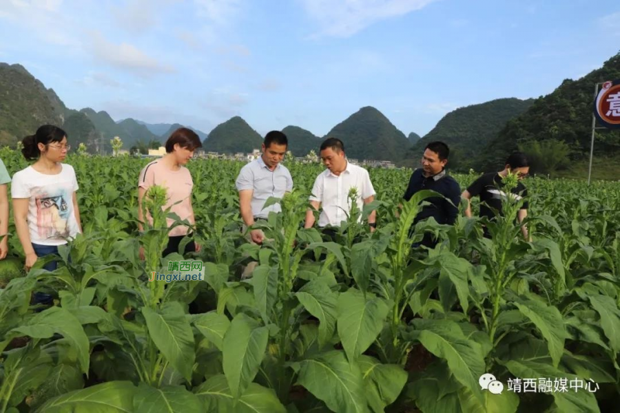 靖西市同德乡：到任履新调研 进村入户解民忧 - 靖西市·靖西网