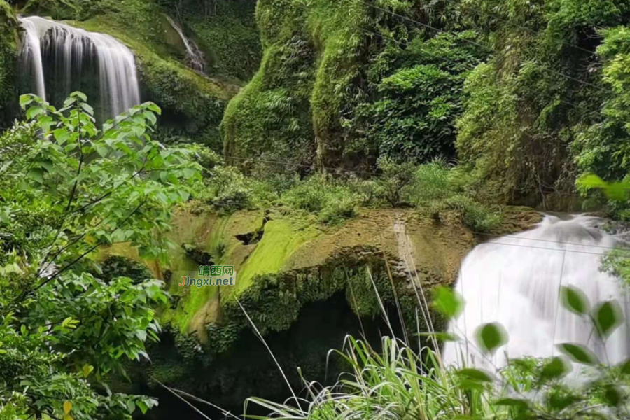 早安，贝侬，每天起来洒洒水扫扫地 - 靖西市·靖西网