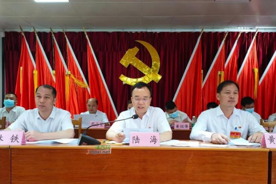 靖西各乡镇稳步推进换届选举工作 - 靖西市·靖西网