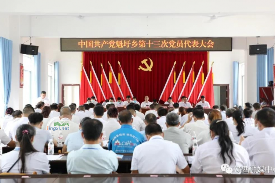 靖西各乡镇党员代表大会顺利召开 - 靖西市·靖西网