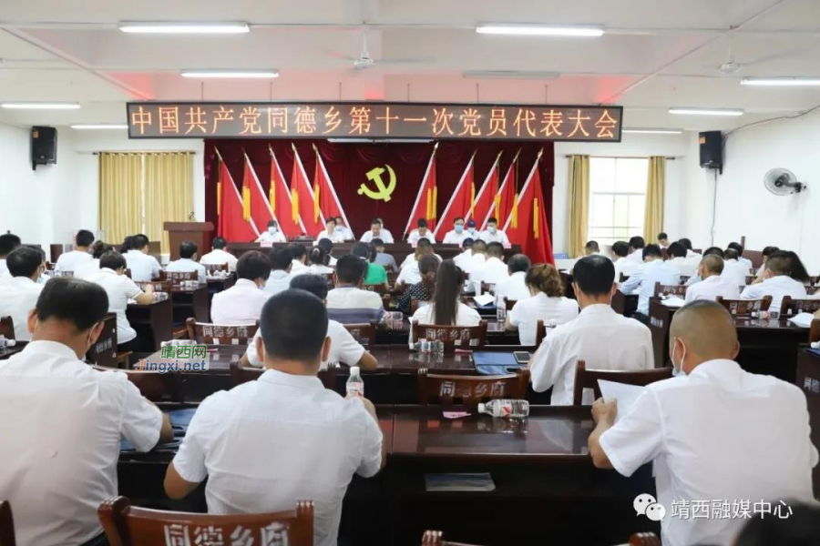 靖西各乡镇党员代表大会顺利召开 - 靖西市·靖西网