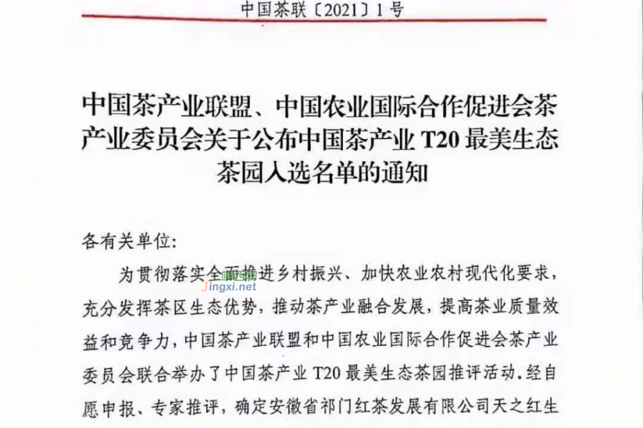 靖西市乐村茶叶有限公司【 靖候佳茗 高山生态茶园】入选为中国茶产业T20最美生态茶园名单 - 靖西市·靖西网