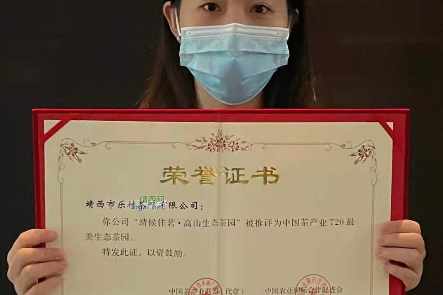 靖西市乐村茶叶有限公司【 靖候佳茗 高山生态茶园】入选为中国茶产业T20最美生态茶园名单 - 靖西市·靖西网