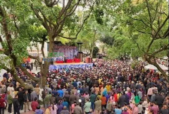 靖西市“学史增信感党恩·唱支山歌给党听”迎接建党100周年暨“壮族三月三传统歌节”山歌大赛圆满落幕 - 靖西市·靖西网