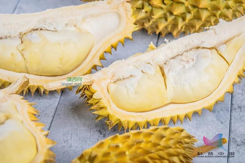 "榴莲盲盒"火了！一个榴莲等于三只鸡？该如何挑选？干货全在这 - 靖西市·靖西网