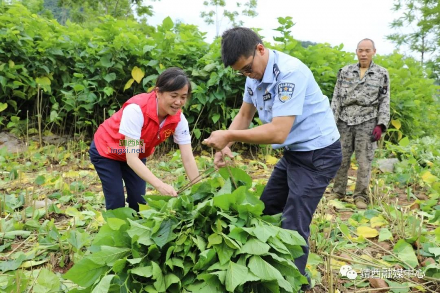 靖西市融媒体中心党支部联合龙邦边检站政治处党支部开展“学党史 守初心 办实事”主题党日活动 - 靖西市·靖西网