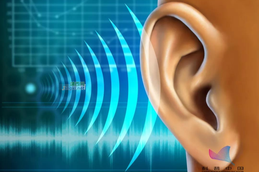 经常耳鸣竟是耳聋的前兆？出现这些症状，千万要当心… - 靖西市·靖西网