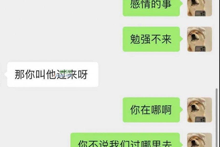 男子为求复合跳河轻生，右江公安劝解救助挽回生命 - 靖西市·靖西网