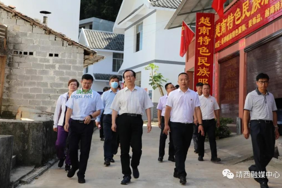 国家民委调研组到靖西考察调研 - 靖西市·靖西网
