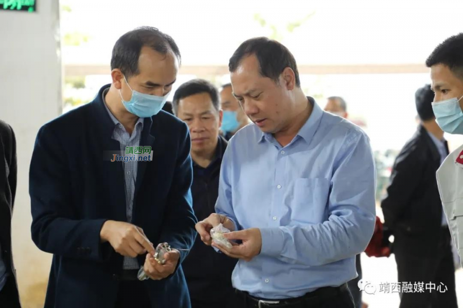 靖西优化营商环境，助力企业发展腾飞 - 靖西市·靖西网