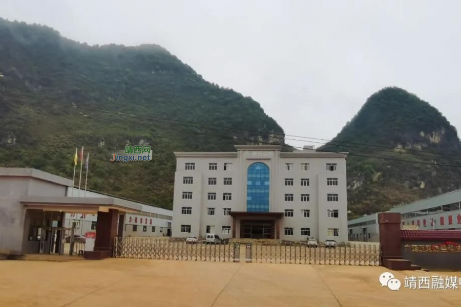 靖西优化营商环境，助力企业发展腾飞 - 靖西市·靖西网