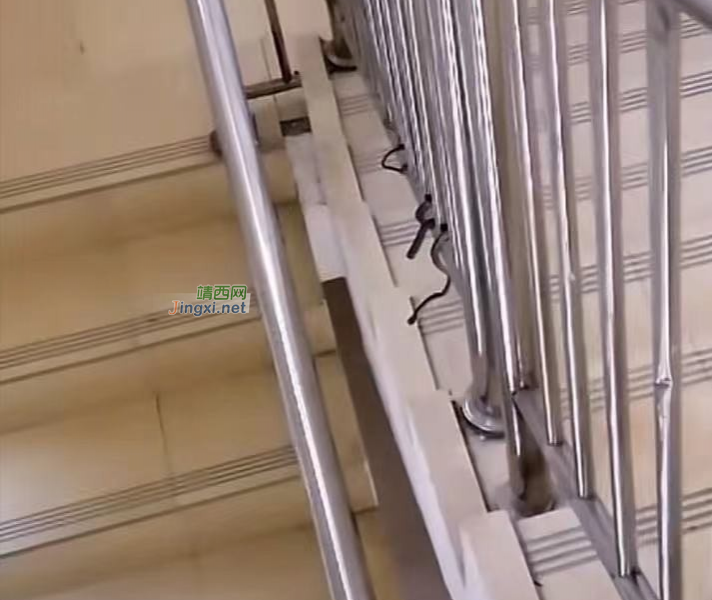 百色学院楼梯惊现几条蛇，网友调侃“百蛇学院”，哈哈哈哈~~ - 靖西市·靖西网