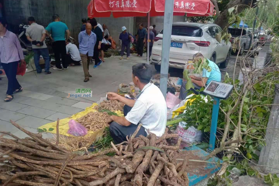 2021靖西端午节，看看靖西不老药市 - 靖西市·靖西网