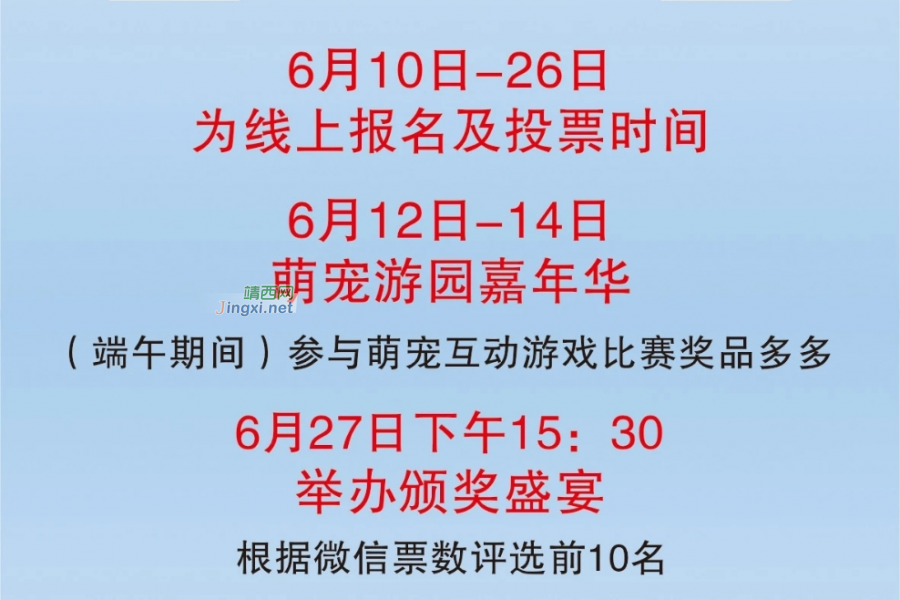 寻宠启事 | 全城找寻萌宠，重酬！ - 靖西市·靖西网