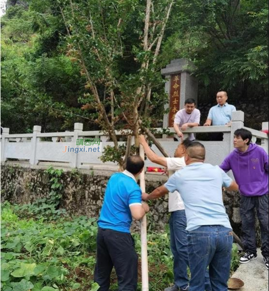 靖西市魁圩街：追忆烈士感党恩 基层党员在行动 - 靖西市·靖西网