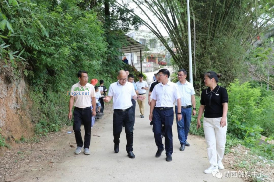 靖西市人民政府市长郝玉松率队到化峒镇开展“两高”沿线乡村风貌改造、提升工作调研。 - 靖西市·靖西网