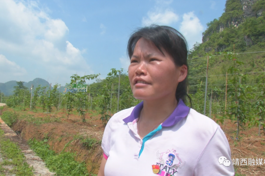 起步即奔跑，渠洋这个村在乡村振兴开局时定下“三个一百”目标 - 靖西市·靖西网