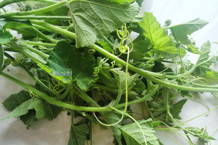 靖西农村新貌 - 靖西市·靖西网