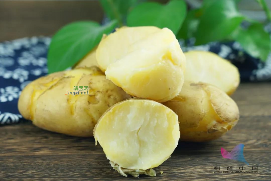 这5种食物不要放冰箱，可能加速变质！还有这些误区，很多人都不知道… - 靖西市·靖西网