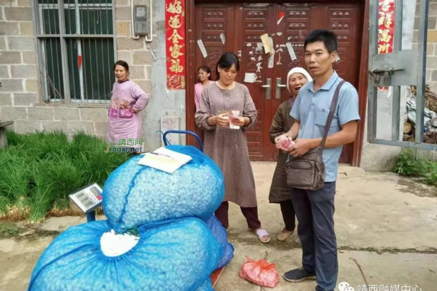 靖西市果乐乡：生态扶贫效益好，群众收益满满 - 靖西市·靖西网