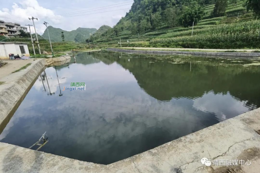 靖西市果乐乡：生态扶贫效益好，群众收益满满 - 靖西市·靖西网