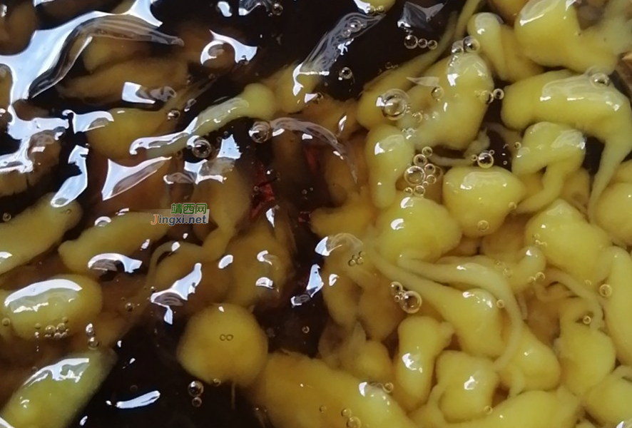 各位客官，来一碗靖西米粉当早餐吧 - 靖西市·靖西网