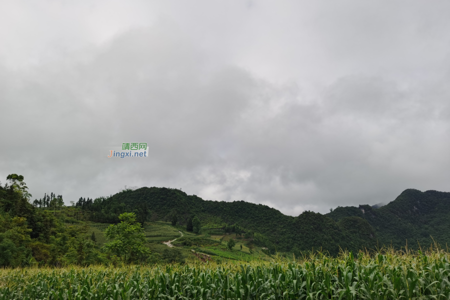 山雨欲来风满楼，靖西的雨季开始啦~ - 靖西市·靖西网