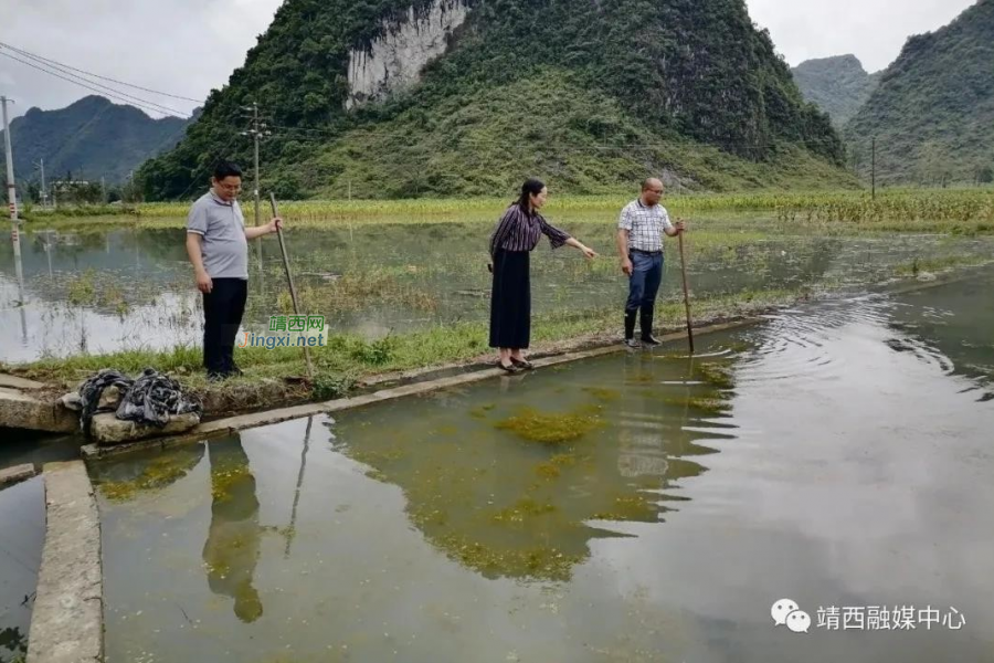 地州镇：雨后排查走访，护航群众生命财产安全 - 靖西市·靖西网