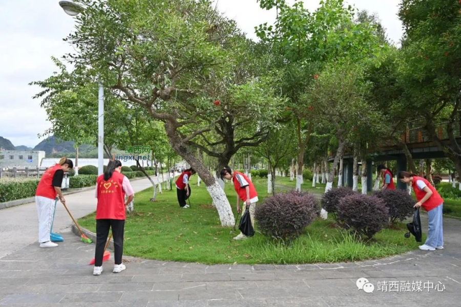 靖西市水利局党支部联合多部门党支部开展志愿服务活动 - 靖西市·靖西网