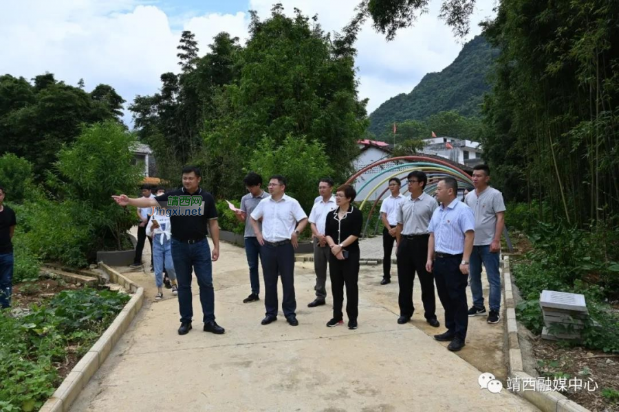 德保县到靖西开展少数民族特色村寨建设工作调研 - 靖西市·靖西网