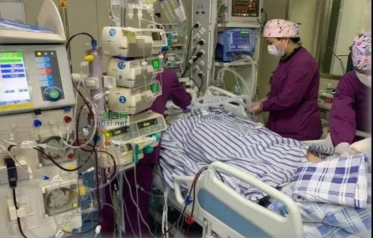 注意！广西一男子被虫子咬了一口，几天后竟多器官功能衰竭 - 靖西市·靖西网