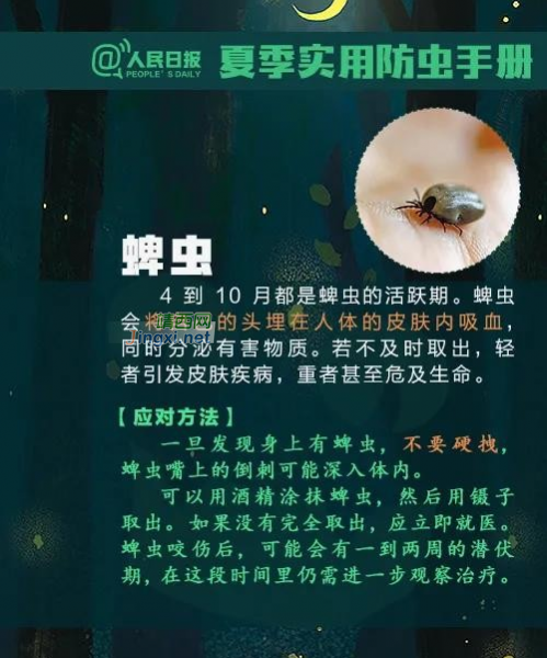 注意！广西一男子被虫子咬了一口，几天后竟多器官功能衰竭 - 靖西市·靖西网