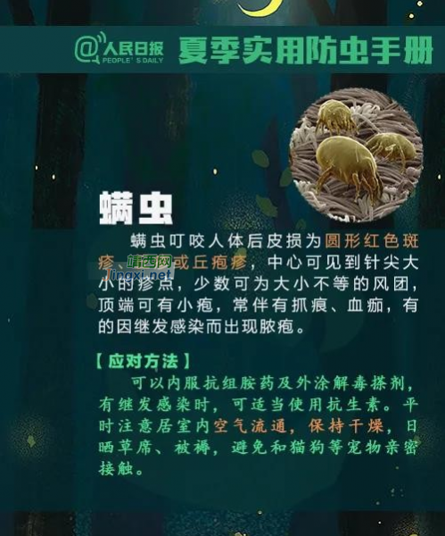 注意！广西一男子被虫子咬了一口，几天后竟多器官功能衰竭 - 靖西市·靖西网