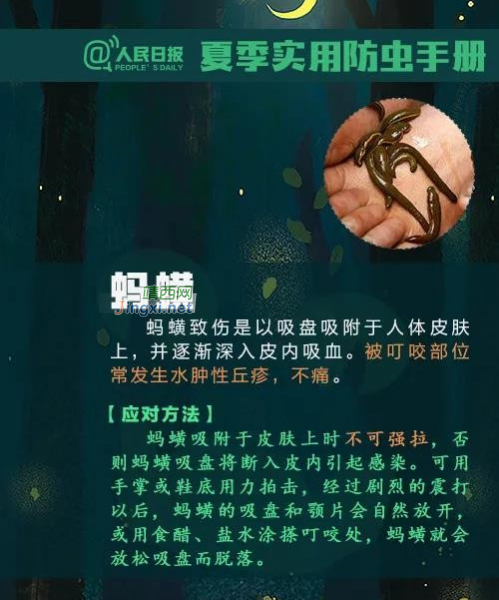 注意！广西一男子被虫子咬了一口，几天后竟多器官功能衰竭 - 靖西市·靖西网