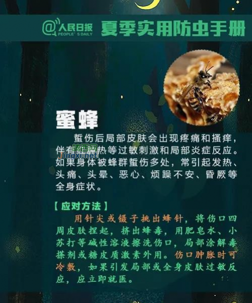 注意！广西一男子被虫子咬了一口，几天后竟多器官功能衰竭 - 靖西市·靖西网