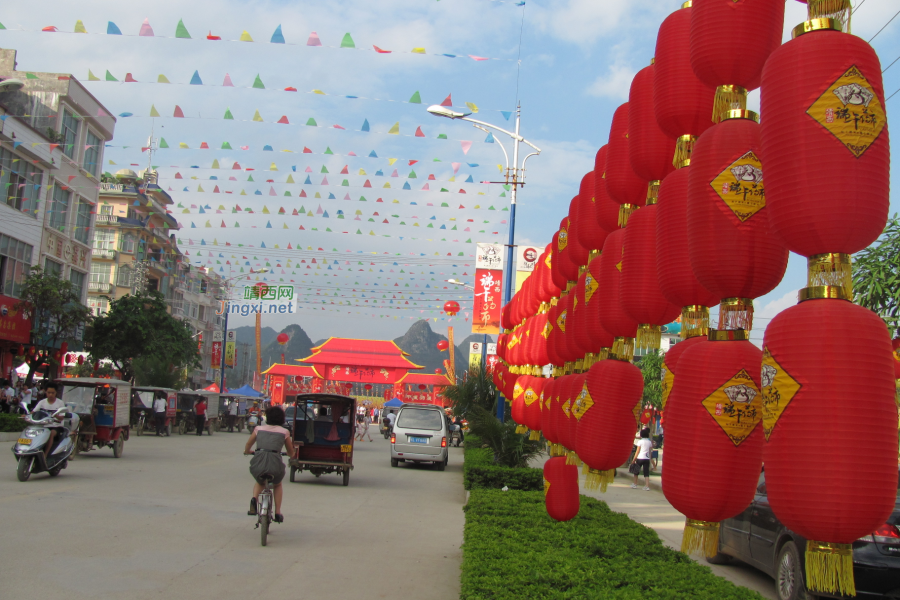 求助公凹，问两种中医草药的学名 - 靖西市·靖西网