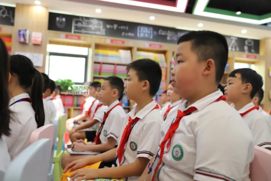 靖西边境一线党旗飘 爱国主义教育掀热潮 - 靖西市·靖西网