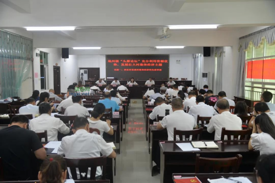 发挥头雁效应 领航基层党建 ——靖西市地州镇第一期“头雁论坛”开讲啦 - 靖西市·靖西网