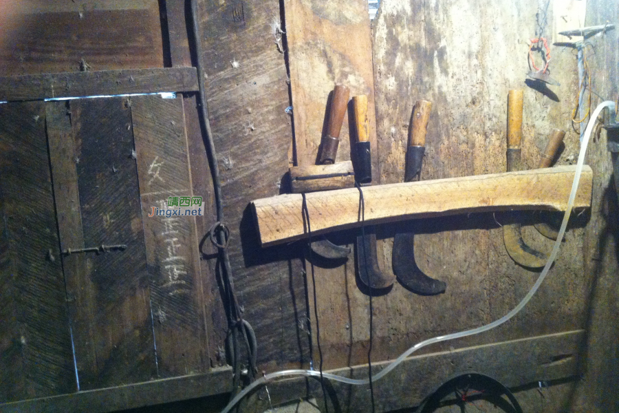 我家住农村，靖西山旮旯，除了成功，我别无选择…… - 靖西市·靖西网