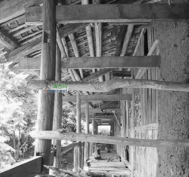 我家住农村，靖西山旮旯，除了成功，我别无选择…… - 靖西市·靖西网