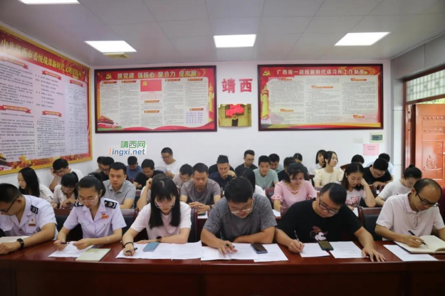 靖西市委市直机关工委组织开展党员发展对象集体谈话暨“我为群众办实事”等系列活动 - 靖西市·靖西网