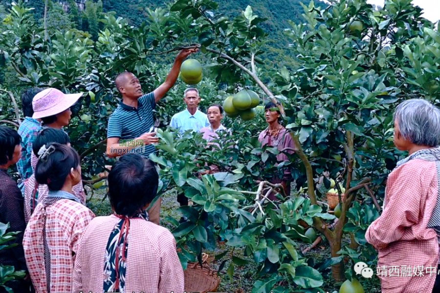 邓国武：海归党员树榜样 一石激起千层浪 - 靖西市·靖西网