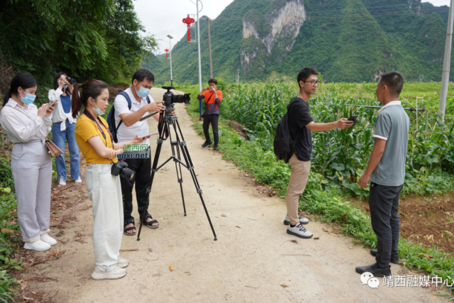自治区主流媒体到靖西开展“融媒体基层行”采访活动 - 靖西市·靖西网