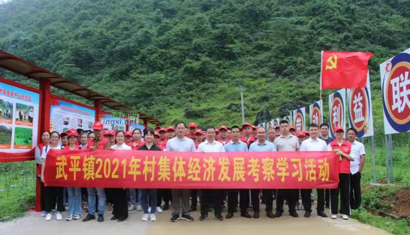 靖西市结合边境特色开展庆祝建党100周年活动 - 靖西市·靖西网