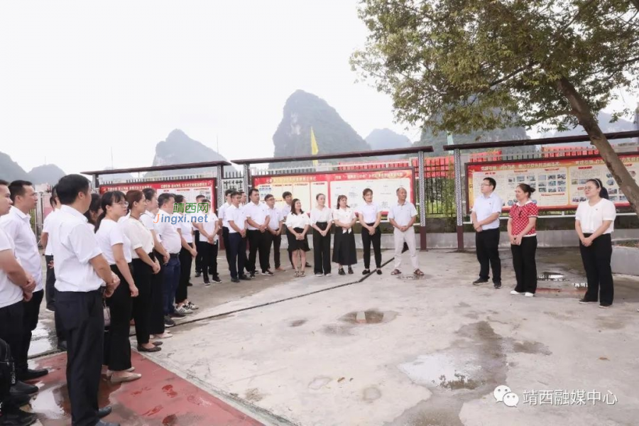 靖西南坡乡开展“学党史 悟思想 办实事”七一党日活动 - 靖西市·靖西网